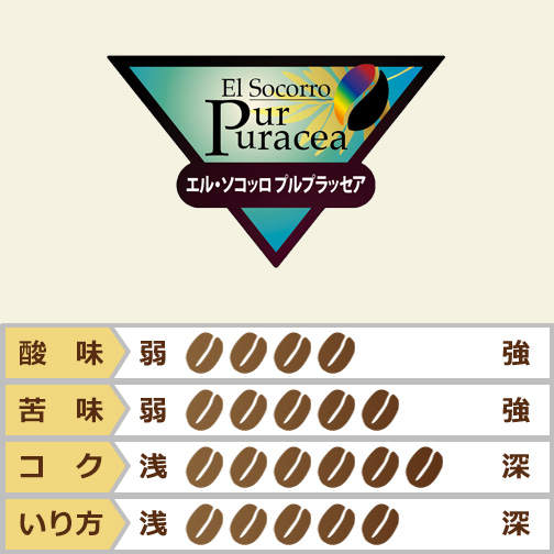 グアテマラ　エル・ソコッロ　プルプラッセア