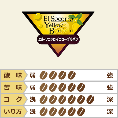 グアテマラ　エル・ソコッロ　イエローブルボン