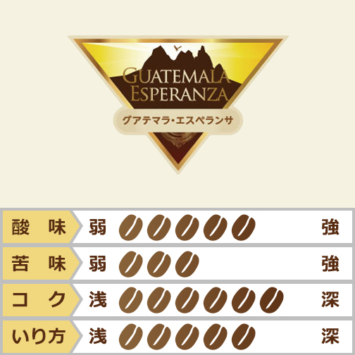 グアテマラ　エスペランサ　10％OFF