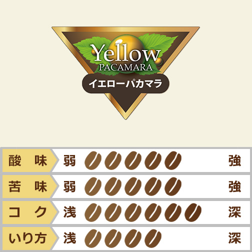 ニカラグア　ミエリッシュ　イエローパカマラ